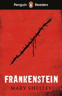 Frankenstein. Penguin Readers Level 5 wer. angielska - Mary Shelley