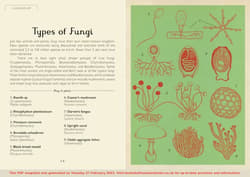 Galeria - zdjęcie nr. 5 - Fungarium (Mini Gift Edition)