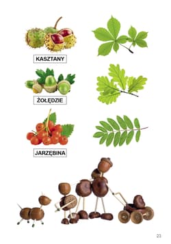 Galeria - zdjęcie nr. 3 - Funkcjonowanie osobiste i społeczne Podręcznik dla uczniów z niepełnosprawnością intelektualną