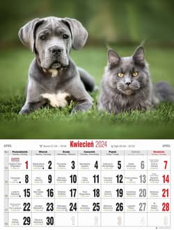 Furby. Zagraj ze mną! Zabawy futrzaków - null null