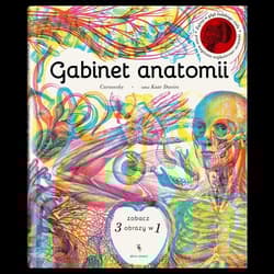 Gabinet anatomii - Kate Davies