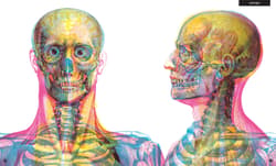 Galeria - zdjęcie nr. 3 - Gabinet anatomii
