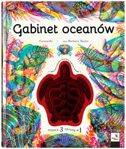 Galeria - zdjęcie nr. 2 - Gabinet oceanów