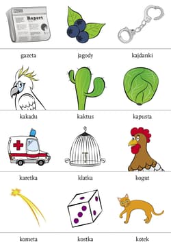 Galeria - zdjęcie nr. 2 - Gadatliwa kakadu Gry logopedyczne różnicujące wymowę głosek T K G D