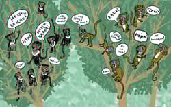 Galeria - zdjęcie nr. 2 - Gadu gadu, kwa kwa! czyli zwierzęce rozmówki