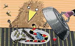 Galeria - zdjęcie nr. 3 - Gadu gadu, kwa kwa! czyli zwierzęce rozmówki