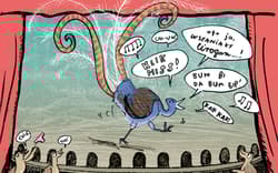 Galeria - zdjęcie nr. 4 - Gadu gadu, kwa kwa! czyli zwierzęce rozmówki