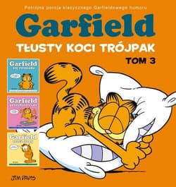 Garfield Tłusty koci trójpak Tom 3
