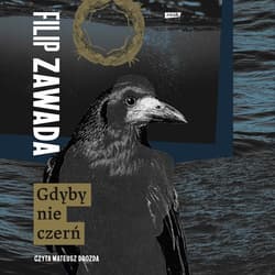 Gdyby nie czerń - audiobook - Filip Zawada