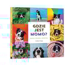 Gdzie jest Momo? - Andrew Knapp