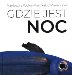 Gdzie jest noc - Agnieszka Wolny-Hamkało