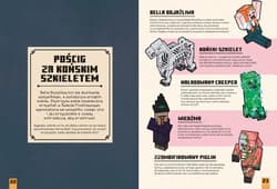 Galeria - zdjęcie nr. 4 - Gdzie jest szkielet i inne moby. Minecraft