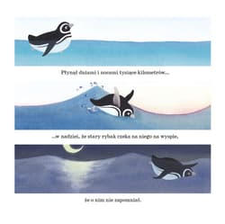 Galeria - zdjęcie nr. 2 - Gdzie serce prowadzi