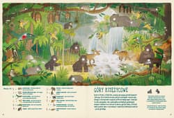 Galeria - zdjęcie nr. 5 - Gdzie się chowa śnieżna sowa? Znajduj zwierzęta na wszystkich kontynentach