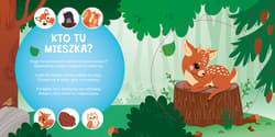 Galeria - zdjęcie nr. 2 - Gdzie się sowa do snu chowa? Kto mieszka w lesie