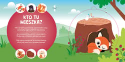 Galeria - zdjęcie nr. 4 - Gdzie się sowa do snu chowa? Kto mieszka w lesie