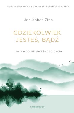 Gdziekolwiek jesteś, bądź - ebook - Jon Kabat-Zinn