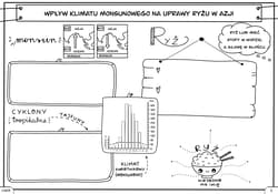 Galeria - zdjęcie nr. 2 - Geografia graficzne karty pracy dla klasy 8