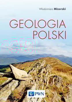 Geologia Polski wyd. 6 - Włodzimierz Mizerski