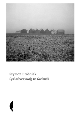 Gęsi odpoczywają na Gotlandii - ebook - Drobniak Szymon