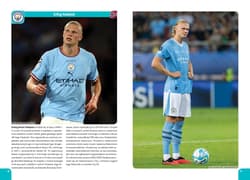 Galeria - zdjęcie nr. 3 - Giganci futbolu