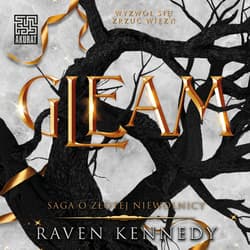Gleam - audiobook - Raven Kennedy