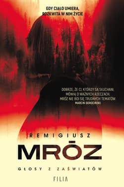 Głosy z zaświatów - Remigiusz Mróz