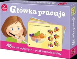 Główka pracuje 48 zadan logicznych + pisak suchościeralny