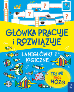 Główka pracuje i rozwiązuje. Łamigłówki logiczne - Mairi Mackinnon