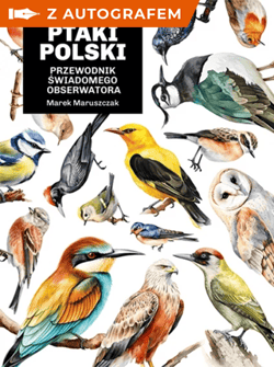 Głupie ptaki Polski. Przewodnik świadomego obserwatora - książka z autografem