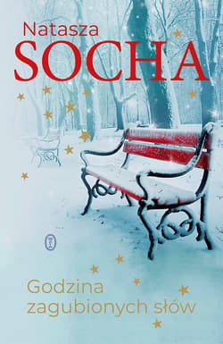 Godzina zagubionych słów - ebook - Natasza Socha
