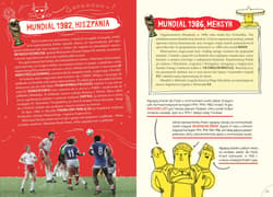 Galeria - zdjęcie nr. 4 - Gol Przewodnik po mistrzostwach świata