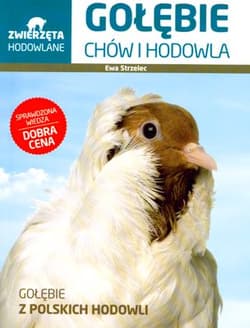 Gołębie chów i hodowla zwierzęta hodowlane - Ewa Strzelec