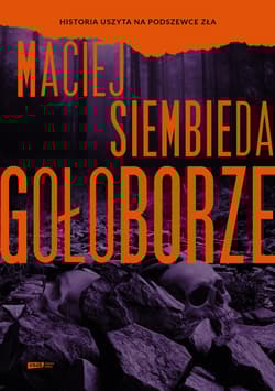 Gołoborze - Maciej Siembieda