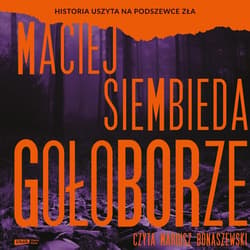 Gołoborze - audiobook - Maciej Siembieda