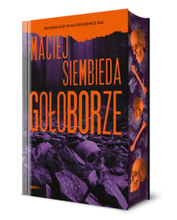 Gołoborze (barwione brzegi) - Maciej Siembieda