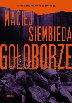 Gołoborze - ebook - Maciej Siembieda