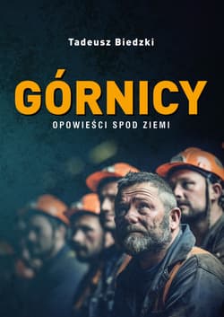 Górnicy Opowieści spod ziemi - Tadeusz Biedzki