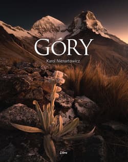 Góry - Karol Nienartowicz