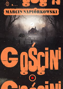 Gościni - ebook - Marcin Napiórkowski