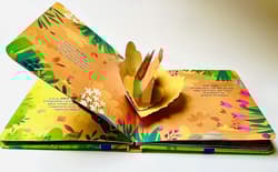 Galeria - zdjęcie nr. 2 - Gospodarstwo. Ruchome obrazki