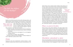 Galeria - zdjęcie nr. 3 - Gotuj bez glutenu z Isabel
