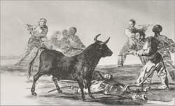 Galeria - zdjęcie nr. 4 - Goya. The Complete Prints