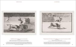Galeria - zdjęcie nr. 5 - Goya. The Complete Prints