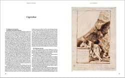 Galeria - zdjęcie nr. 2 - Goya. The Complete Prints
