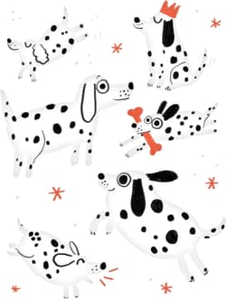 Galeria - zdjęcie nr. 2 - Gra Ciapki