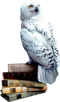 Galeria - zdjęcie nr. 4 - Gra Harry Potter i Czytacz Myśli