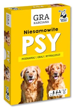 Gra karciana Niesamowite Psy Kapitan Nauka
