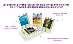 Galeria - zdjęcie nr. 2 - Gra karciana Niesamowite zwierzęta Kapitan Nauka
