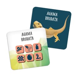 Galeria - zdjęcie nr. 2 - Gra Kostki bystrzaka Zwierzęta